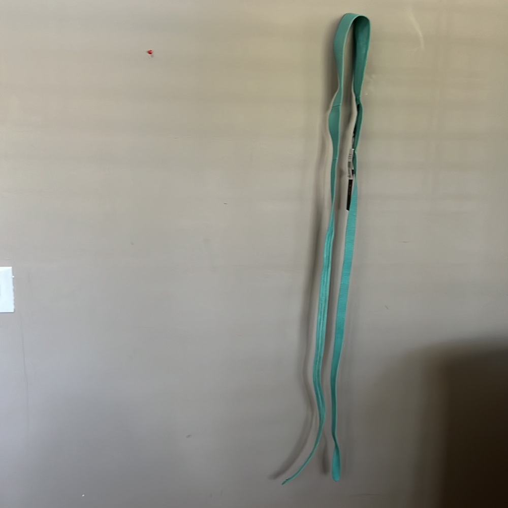 ADA COLLECTION WRAP BELT--AQUA PYTHON - Picture 3 of 11